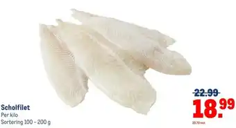Makro Scholfilet aanbieding