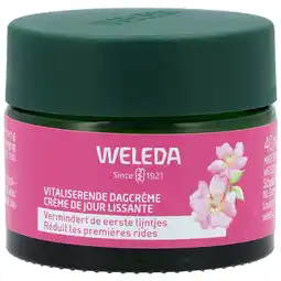 Holland & Barrett Weleda Wilde Rozen & Witte Thee Vitaliserende Dagcrème 30+ - 40ml aanbieding