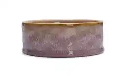 Welkoop Designed by Lotte Jace - Voerbak - 13,5 cm - Roze aanbieding