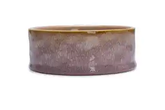Welkoop Designed by Lotte Jace - Voerbak - 13,5 cm - Roze aanbieding