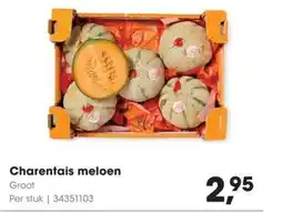 HANOS Charentais meloen aanbieding