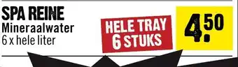 Dirck 3 SPA REINE Mineraalwater aanbieding