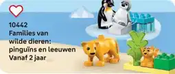 LEGO 10442 Families van wilde dieren: pinguïns en leeuwen aanbieding