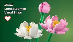 LEGO 40647 Lotusbloemen aanbieding