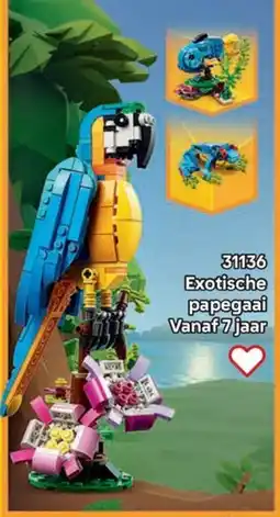 LEGO 31136 Exotische papegaai aanbieding