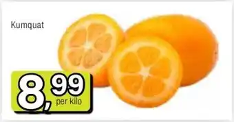 Amazing Oriëntal Kumquat aanbieding