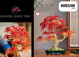 LEGO 103748 Japanse esdoorn bonsaiboompje aanbieding