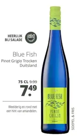 Mitra Blue Fish Pinot Grigio Trocken aanbieding