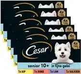 Bol.com Cesar Hondenvoer - Senior 10+ - Mix in Gelei - Kuipjes - 24x150g aanbieding