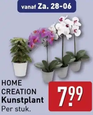 ALDI Kunstplant aanbieding