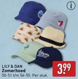 ALDI Lily & dan Zomerhoed aanbieding