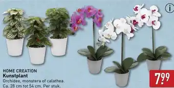 ALDI Home creation kunstplant aanbieding