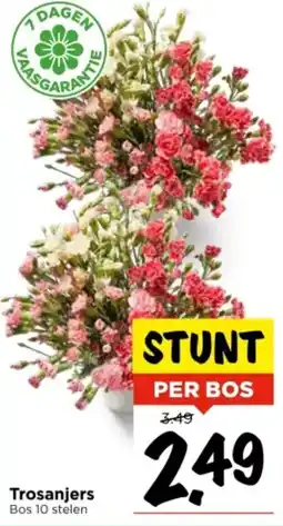 Vomar Voordeelmarkt Trosanjers aanbieding