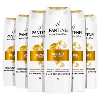 Plein.nl 6x Pantene Shampoo Repair & Protect aanbieding