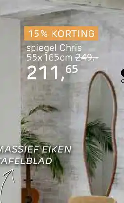 Piet Klerkx Spiegel Chris 55x165cm aanbieding