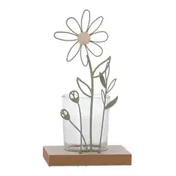 Van Cranenbroek Windlicht Kamille 17cm 2ass aanbieding