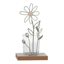 Van Cranenbroek Windlicht Kamille 17cm 2ass aanbieding