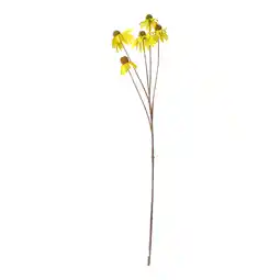 Van Cranenbroek Coneflower geel 92cm aanbieding