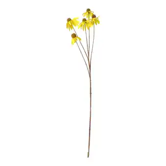 Van Cranenbroek Coneflower geel 92cm aanbieding