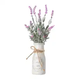 Van Cranenbroek Lavendel in pot 32cm 2ass aanbieding