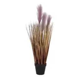 Van Cranenbroek Pot+siergras pluis 70cm GFL019 aanbieding