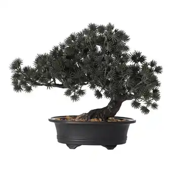 Van Cranenbroek Bonsai in pot groen 28x15x23cm aanbieding