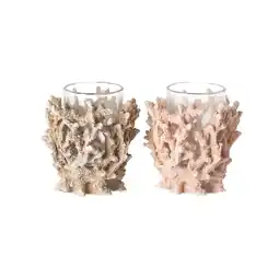 Van Cranenbroek Theelichthouder koraal 8cm 2ass nc aanbieding