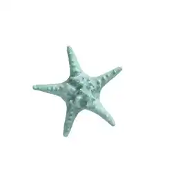 Van Cranenbroek Zeester 19cm blauw 2ass nc aanbieding
