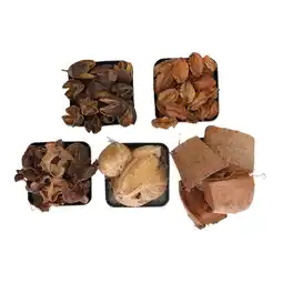 Van Cranenbroek Exotische mix natuur 6x6x14cm 6ass nc aanbieding