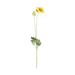 Van Cranenbroek Bloem Poppy geel 60cm aanbieding