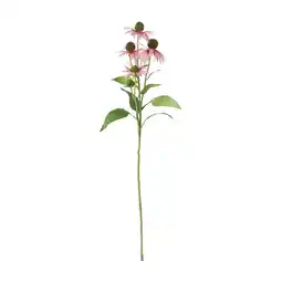 Van Cranenbroek Bloem Rudbeckia lila 73cm aanbieding