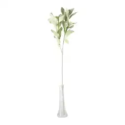 Van Cranenbroek Tak Sofie 70 cm groen aanbieding
