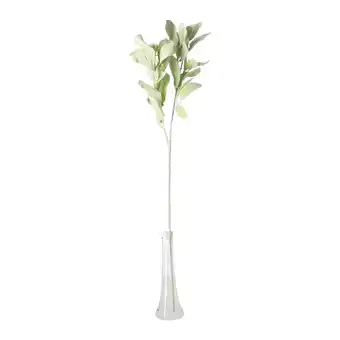 Van Cranenbroek Tak Sofie 70 cm groen aanbieding