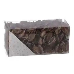 Van Cranenbroek Exotische mix natuur white-wash 6x6x14cm 6ass nc aanbieding