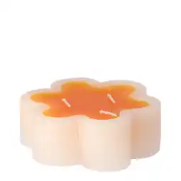 Van Cranenbroek Kaars bloem oranje 12x4 cm aanbieding