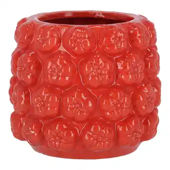 Van Cranenbroek Vaas tomaat 15cm nc aanbieding