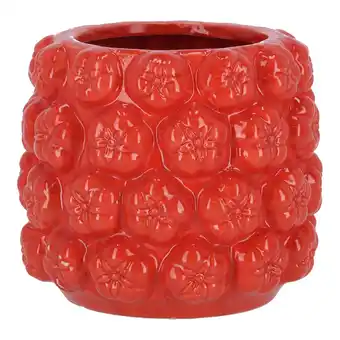 Van Cranenbroek Vaas tomaat 15cm nc aanbieding