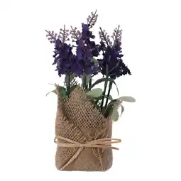 Van Cranenbroek Lavendel in jute pot 3ass aanbieding
