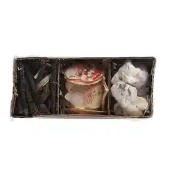 Van Cranenbroek Schelpen 18x6cm 3ass nc aanbieding