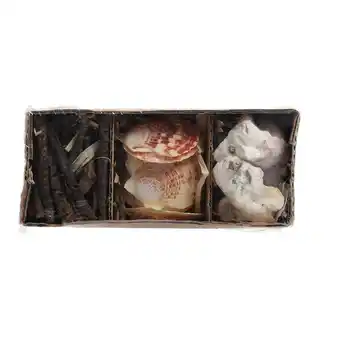 Van Cranenbroek Schelpen 18x6cm 3ass nc aanbieding