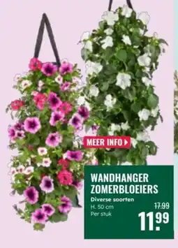 GroenRijk Wandhanger zomerbloeiers aanbieding