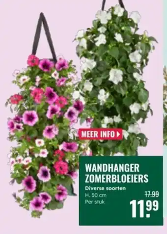 GroenRijk Wandhanger zomerbloeiers aanbieding