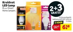 Kruidvat Kruidvat LED lamp aanbieding