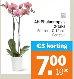 Albert Heijn AH Phalaenopsis aanbieding