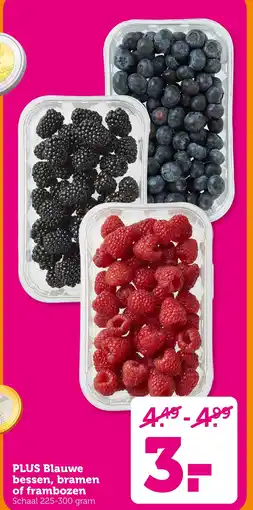 Coop Plus Blauwe aanbieding