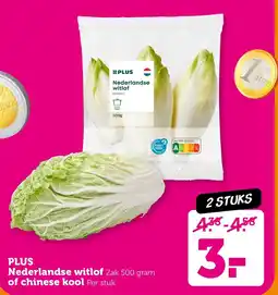 Coop Plus Nederlandse witlof of chinese kool aanbieding