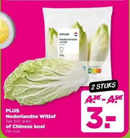 PLUS Plus Nederlandse witlof aanbieding