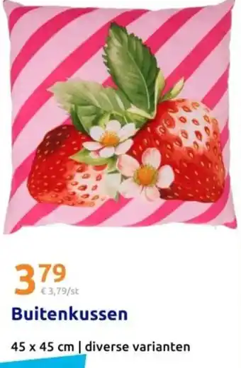 Action Buitenkussen aanbieding