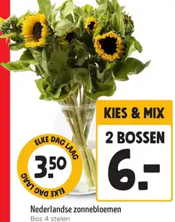 Jumbo Nederlandse zonnebloemen aanbieding