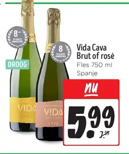 Jumbo Vida Cava Brut of rosé aanbieding
